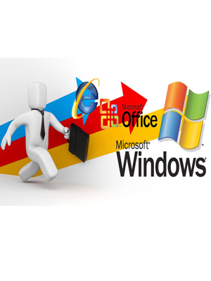 Curso Operador de Office Avanzado